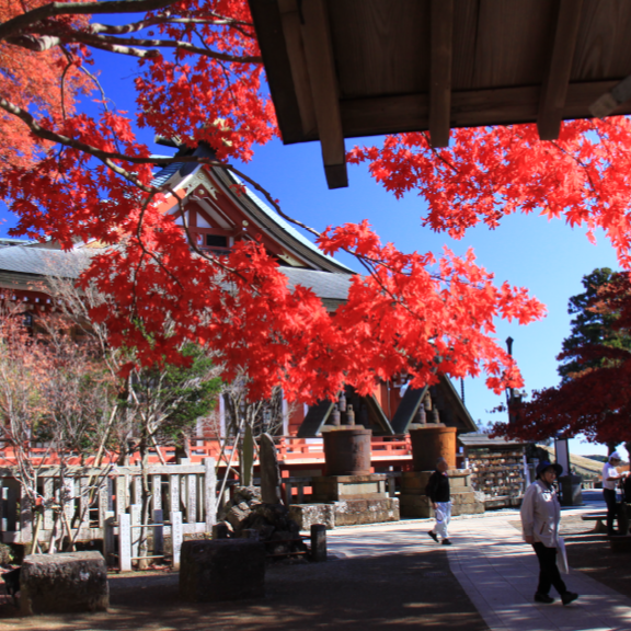 阿夫利神社