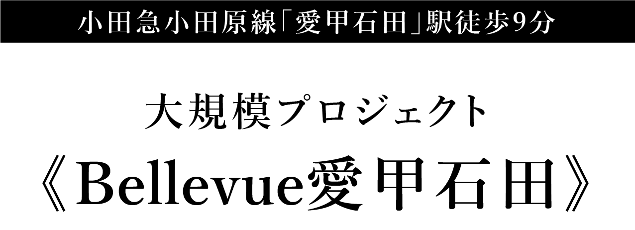 大規模プロジェクト＜Bellevue愛甲石田＞